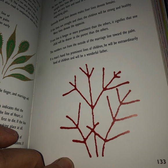 The Indian Luck Book . Attract luck and positivity - Picture 7 of 10